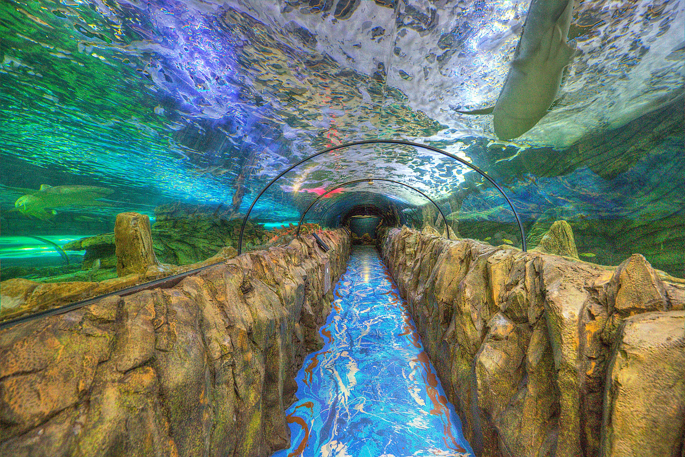 Aquarium