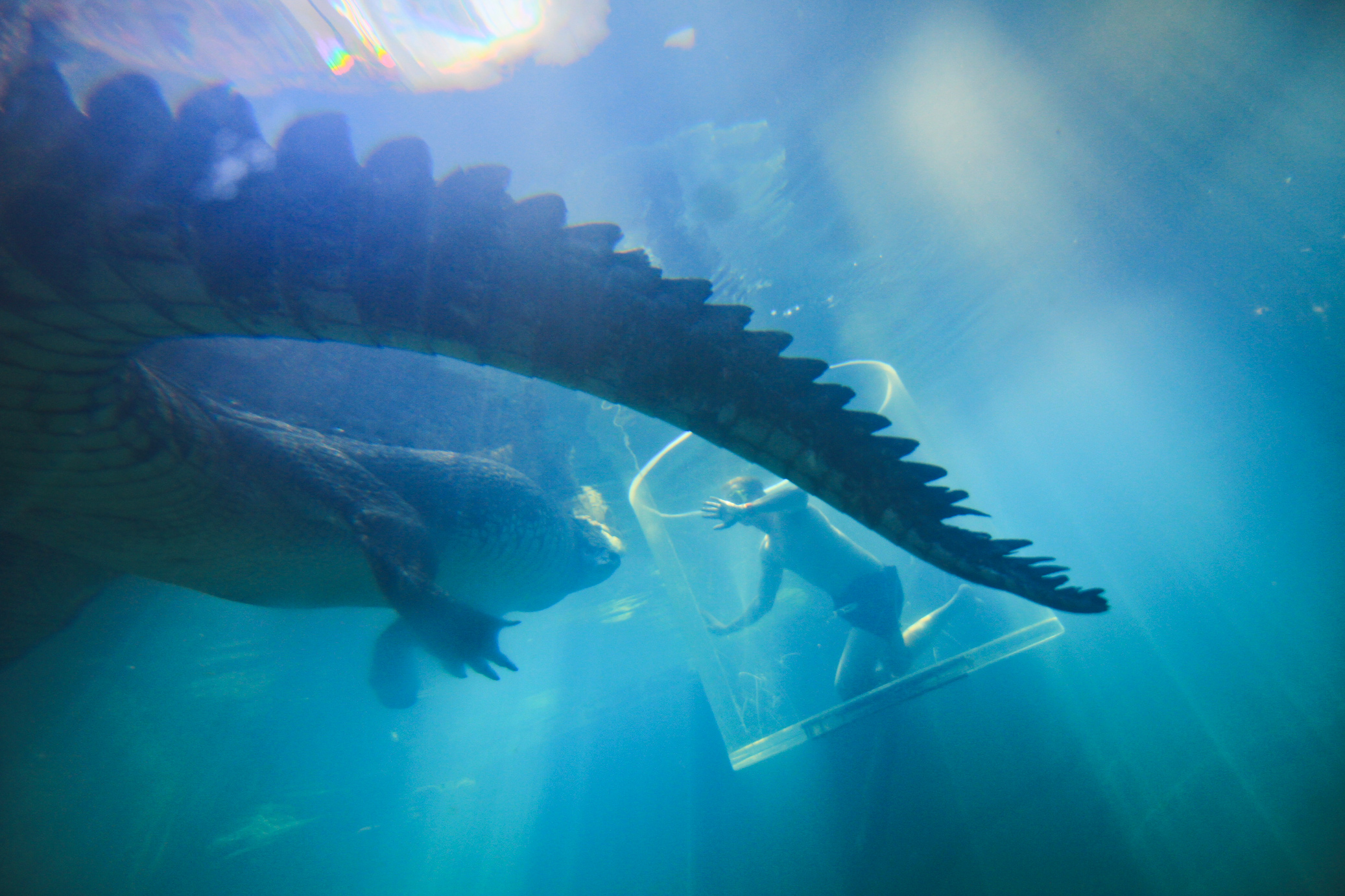 Croc3