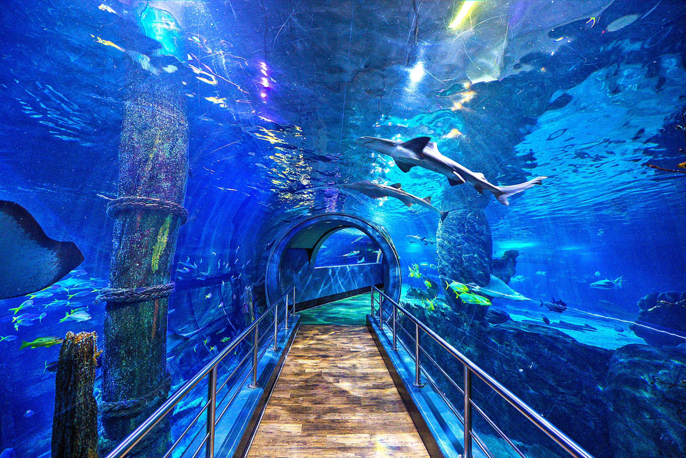 MelbourneAquarium