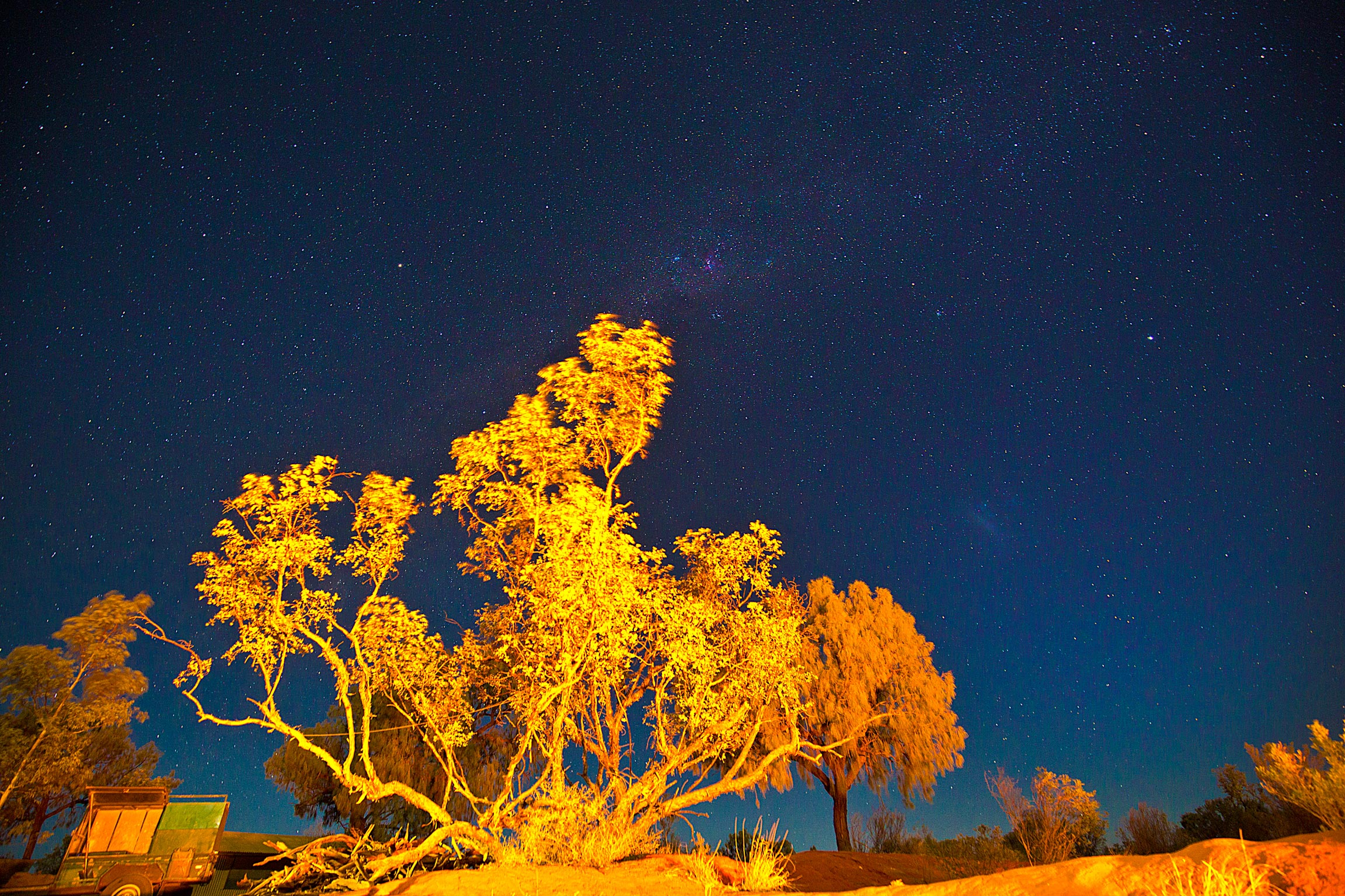TheTreeandStars_COmpressed