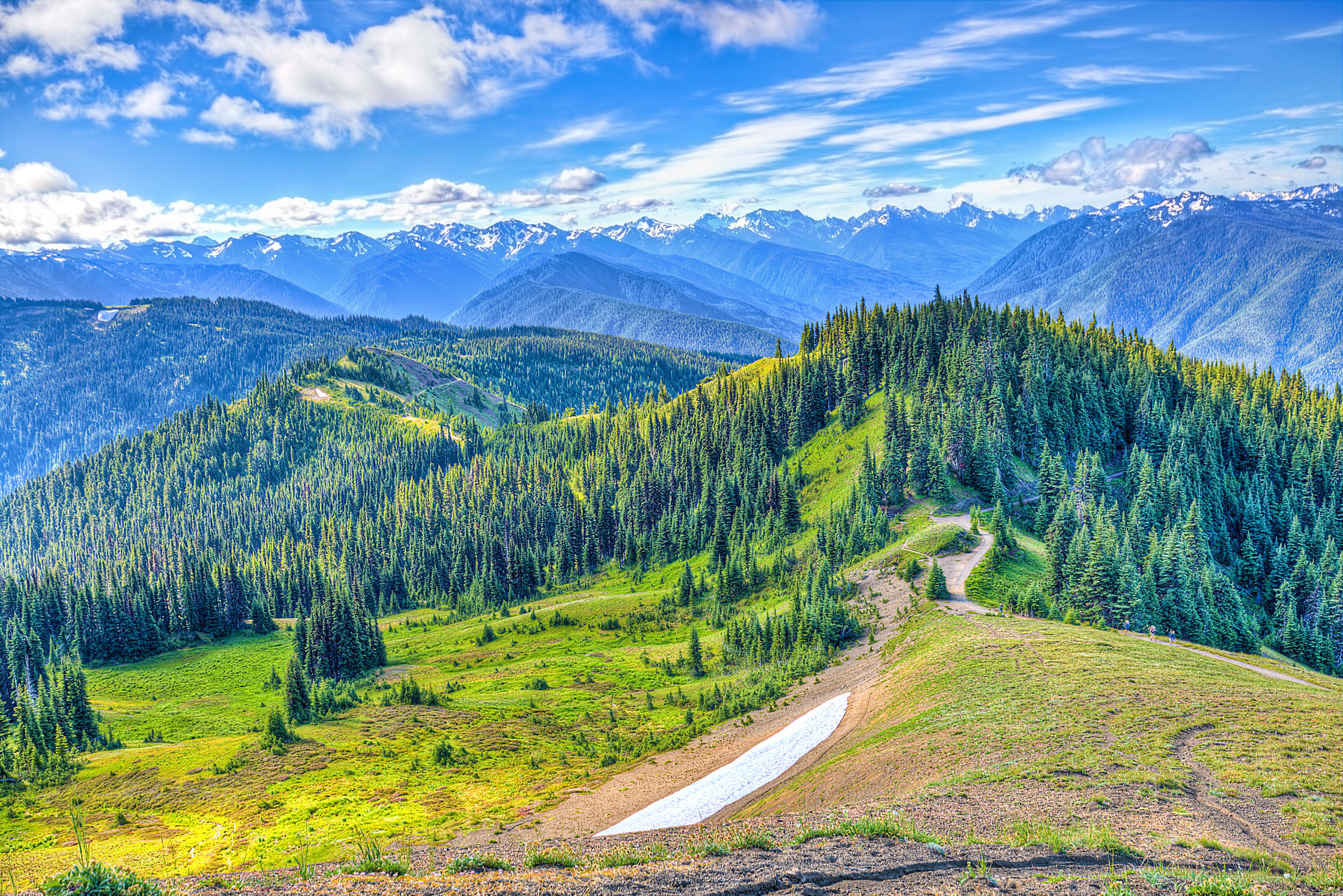 IntotheOlympicMountains_Compressed