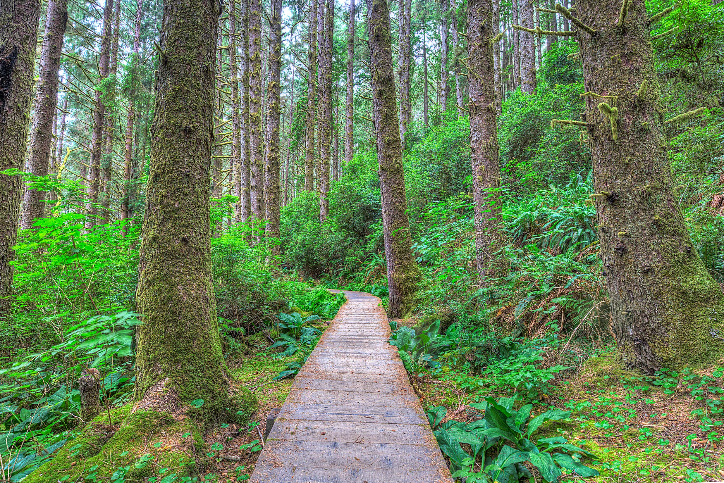 Walkway_Compressed