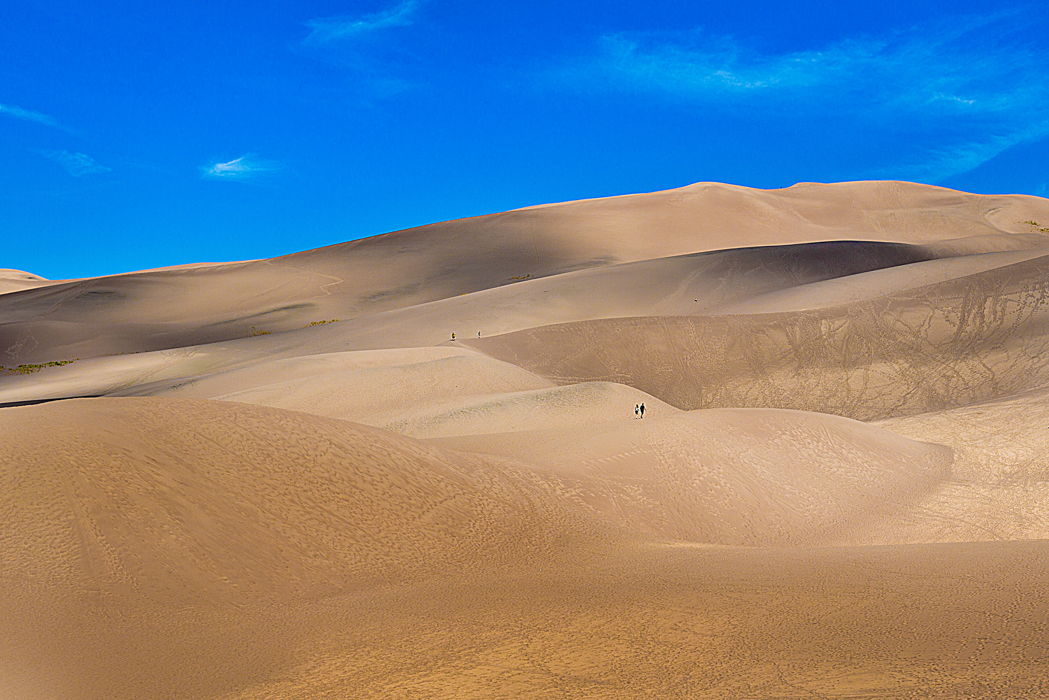 IntotheDunes_Far_Compressed