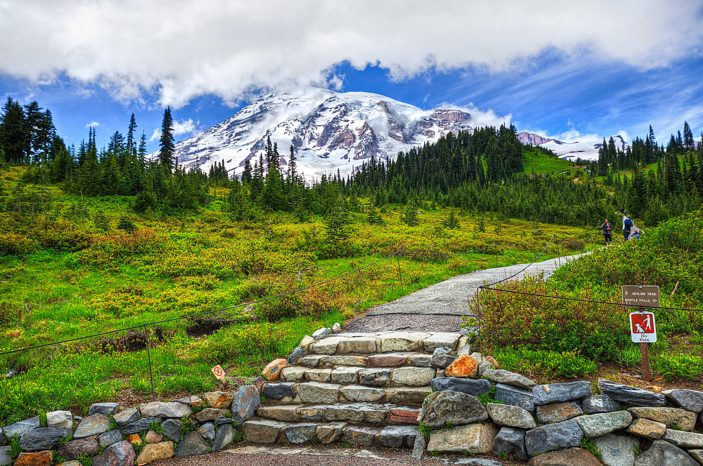 MtRainier_Compressed