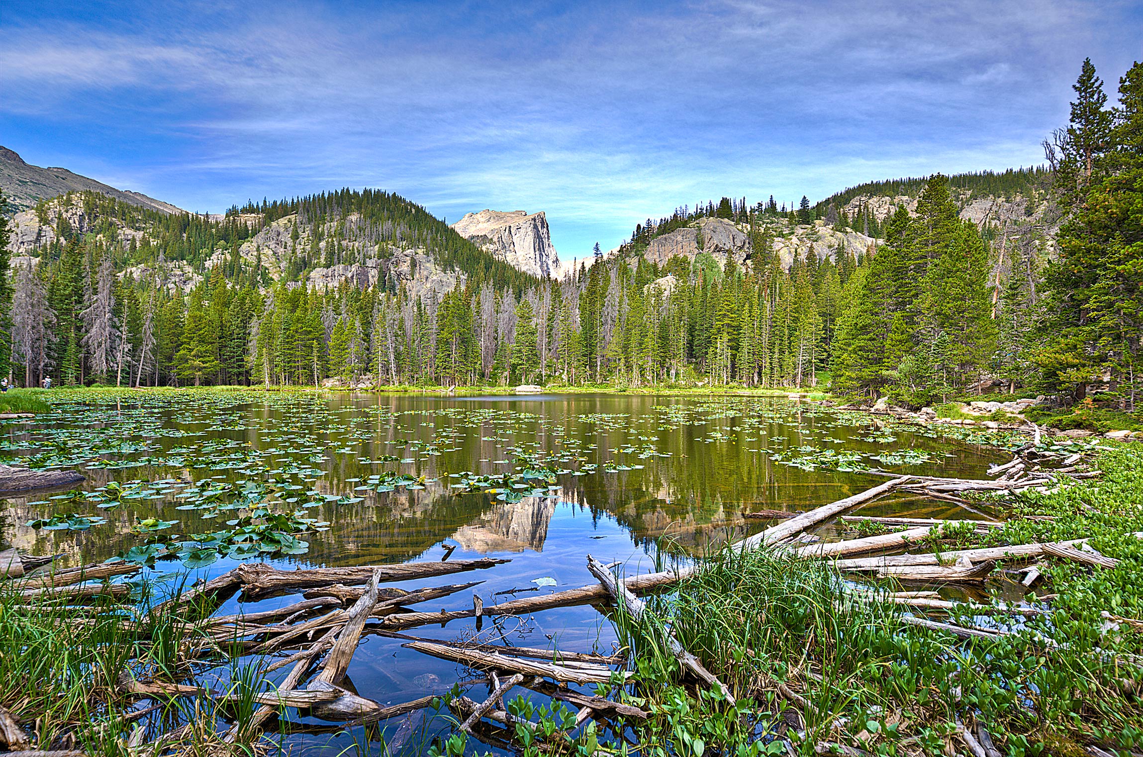 There are an abundance of reflecting lakes and ponds in RMNT, but this one (Nymph Lake) as my favorite!
