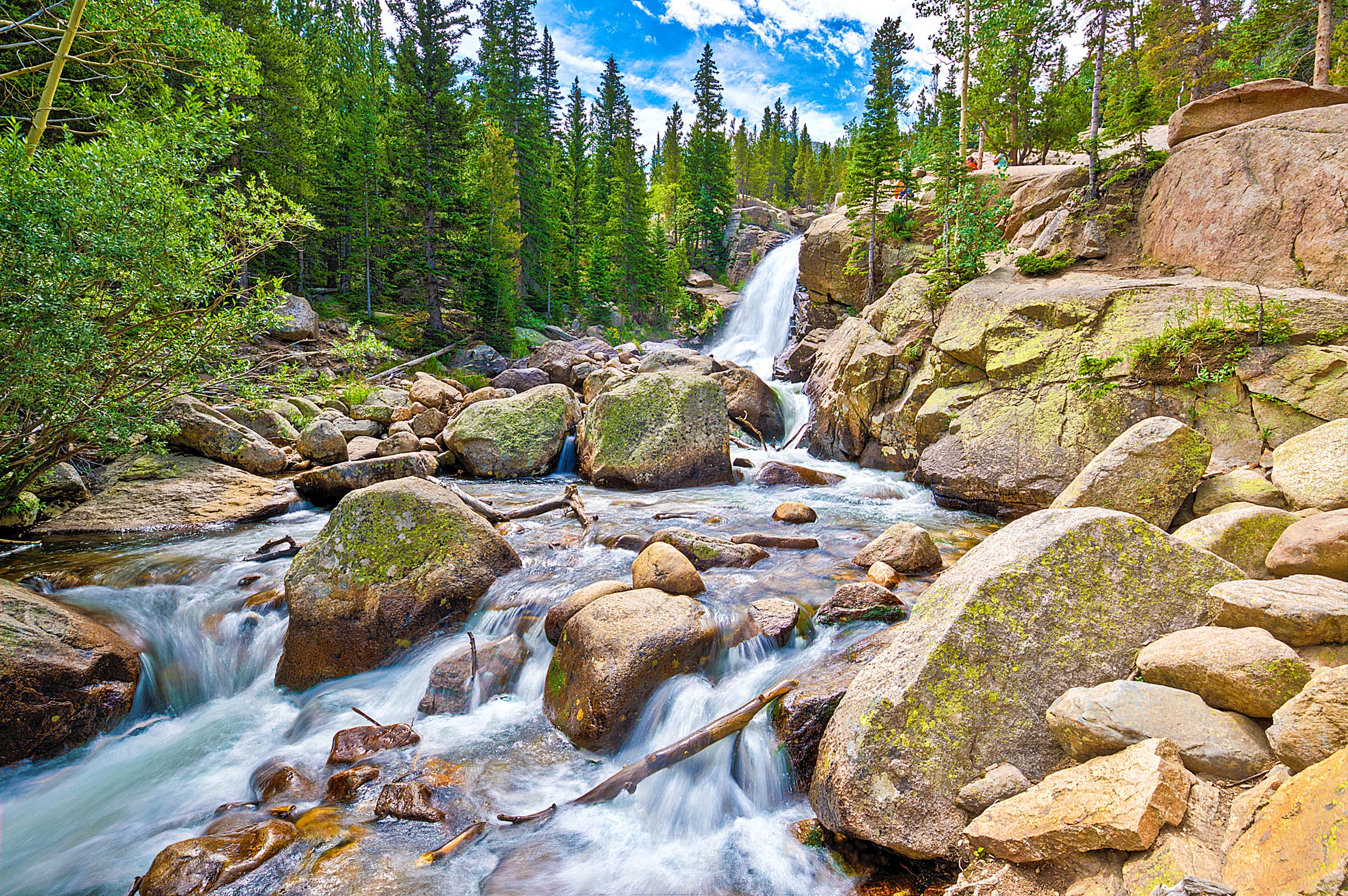 The mighty Alberta Falls!