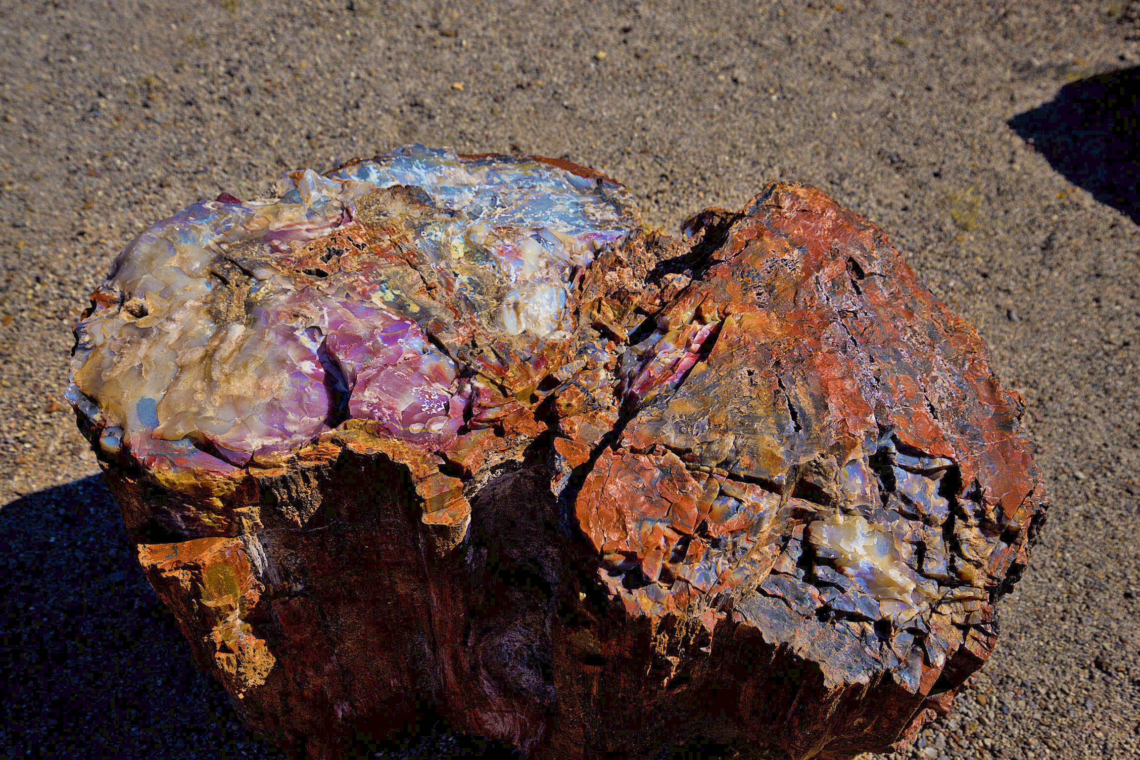 petrifiedrock2_compressed