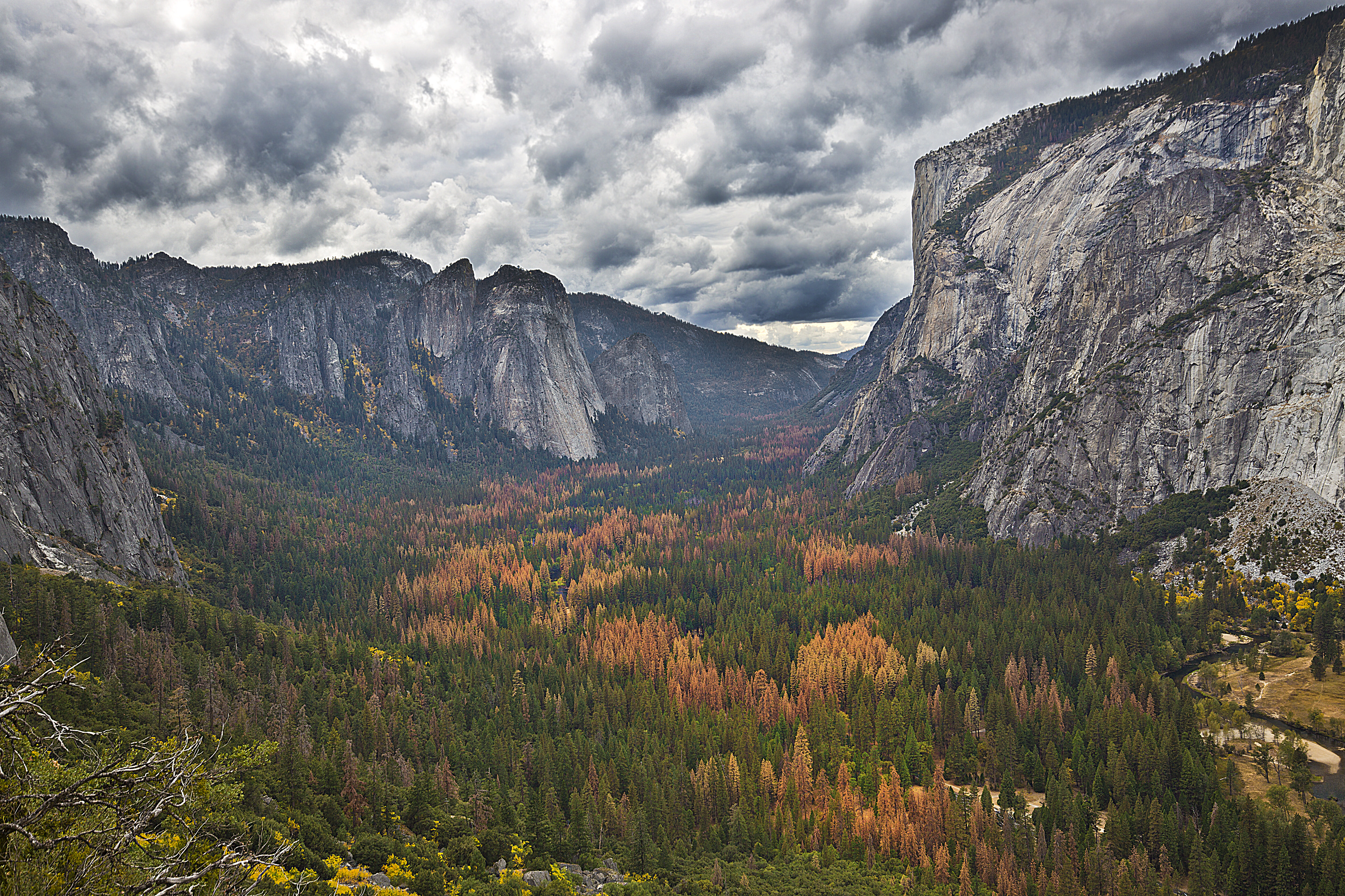 he Epic Yosemite Valley in Fall colors before the Storm rolled in. Taken from the “4-Mile Trail”