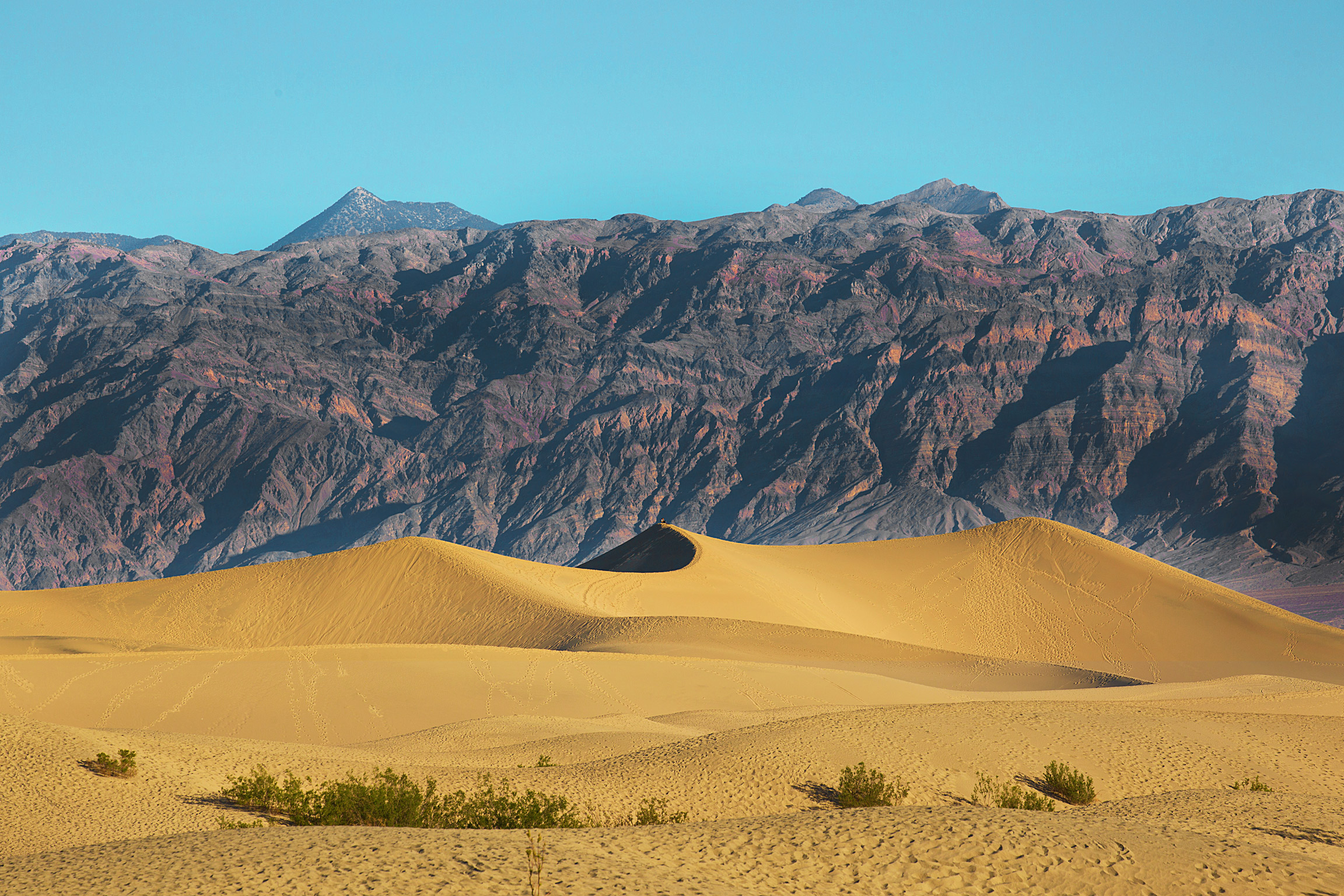 mesquitesanddunes_compressed