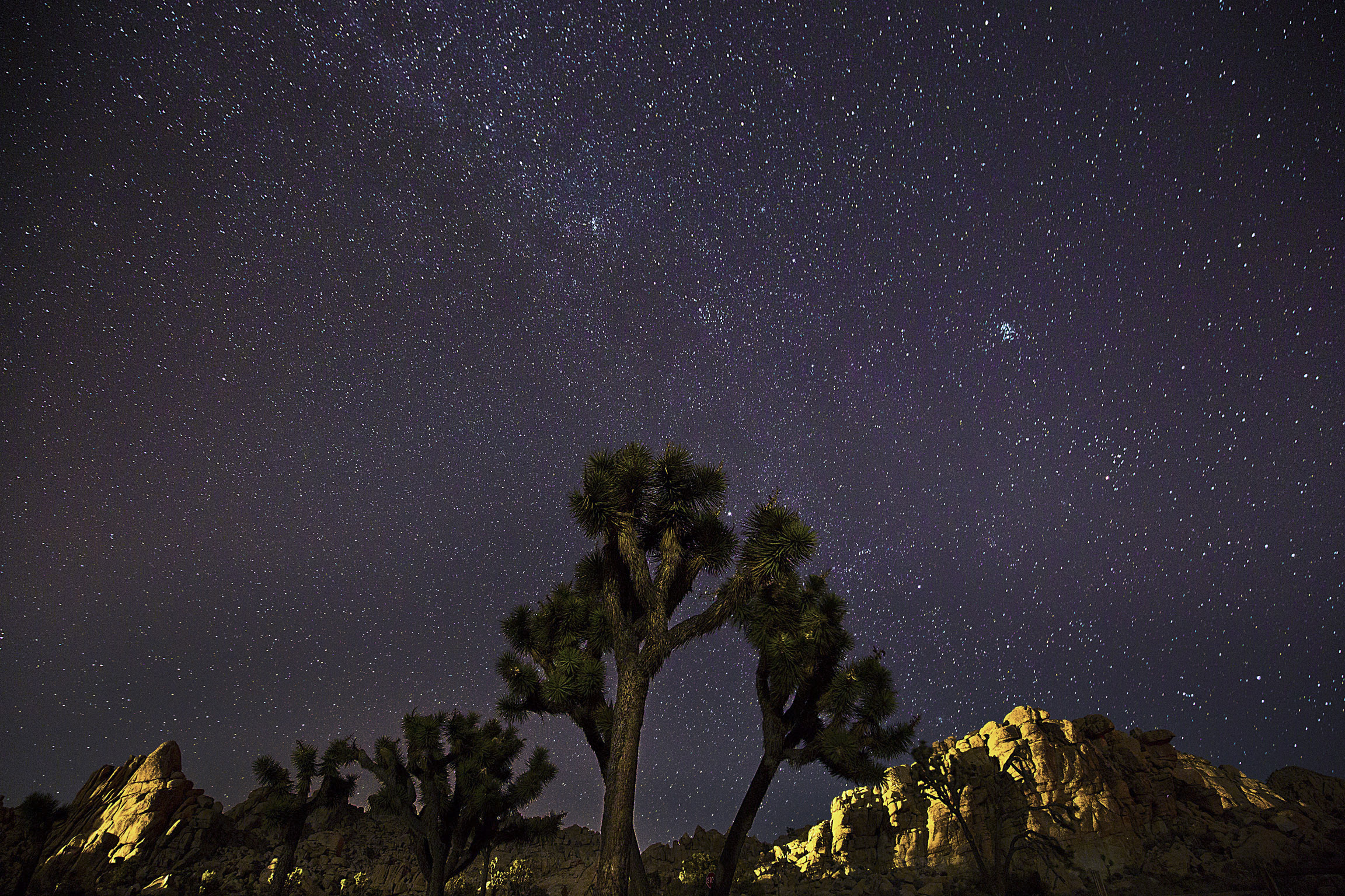 treeandmountains_stars_compressed_complete