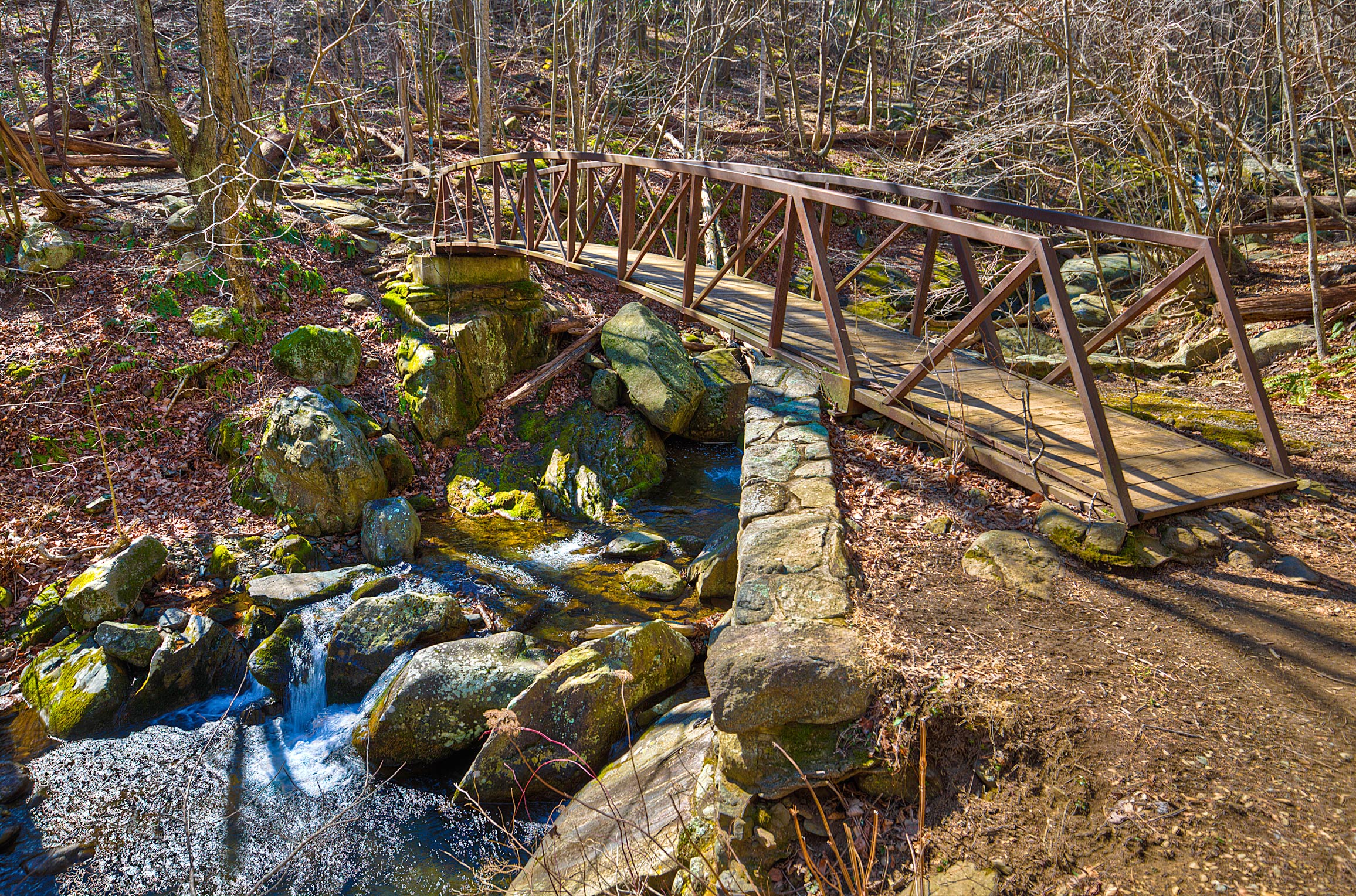 Bridge