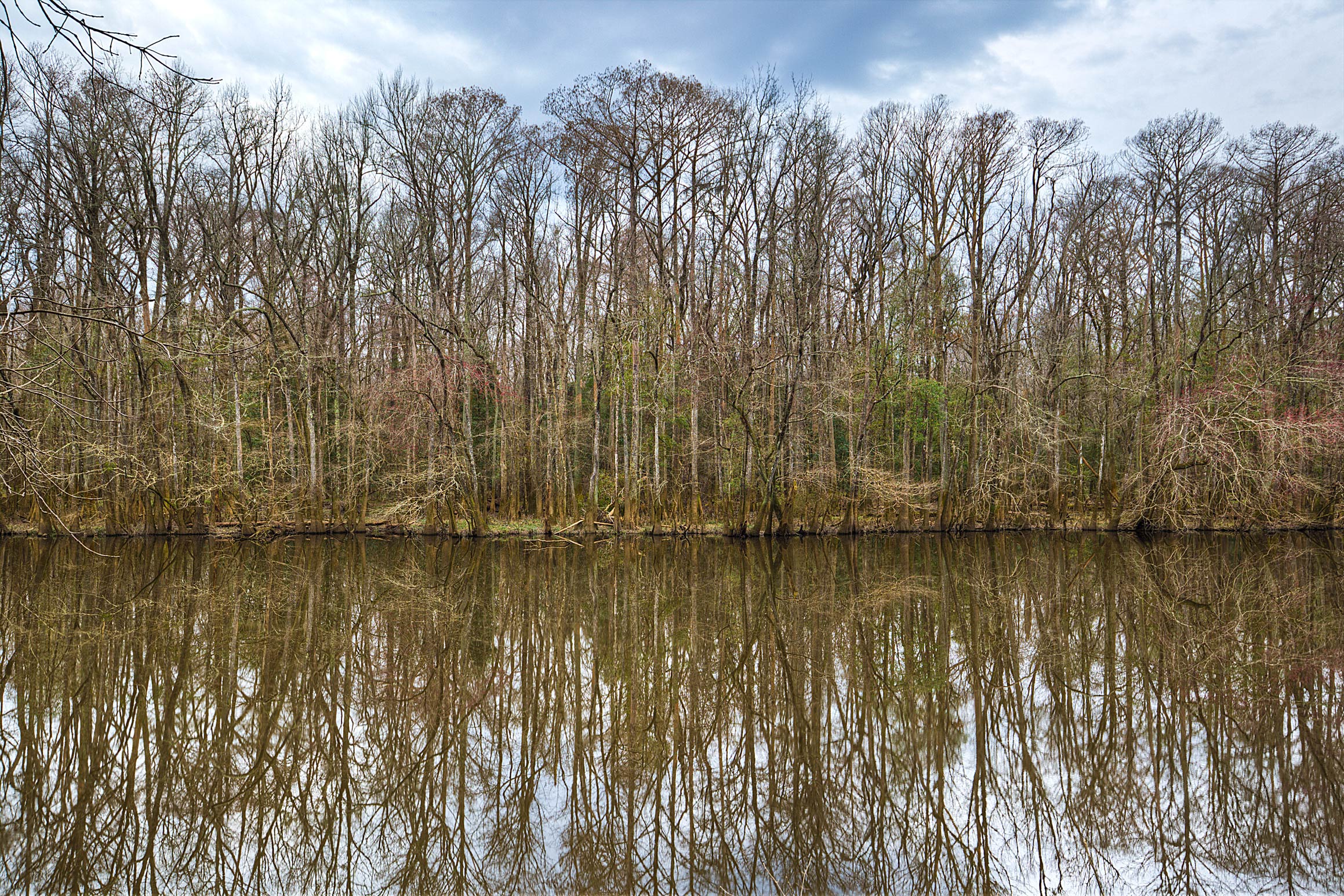 Reflection off the lake