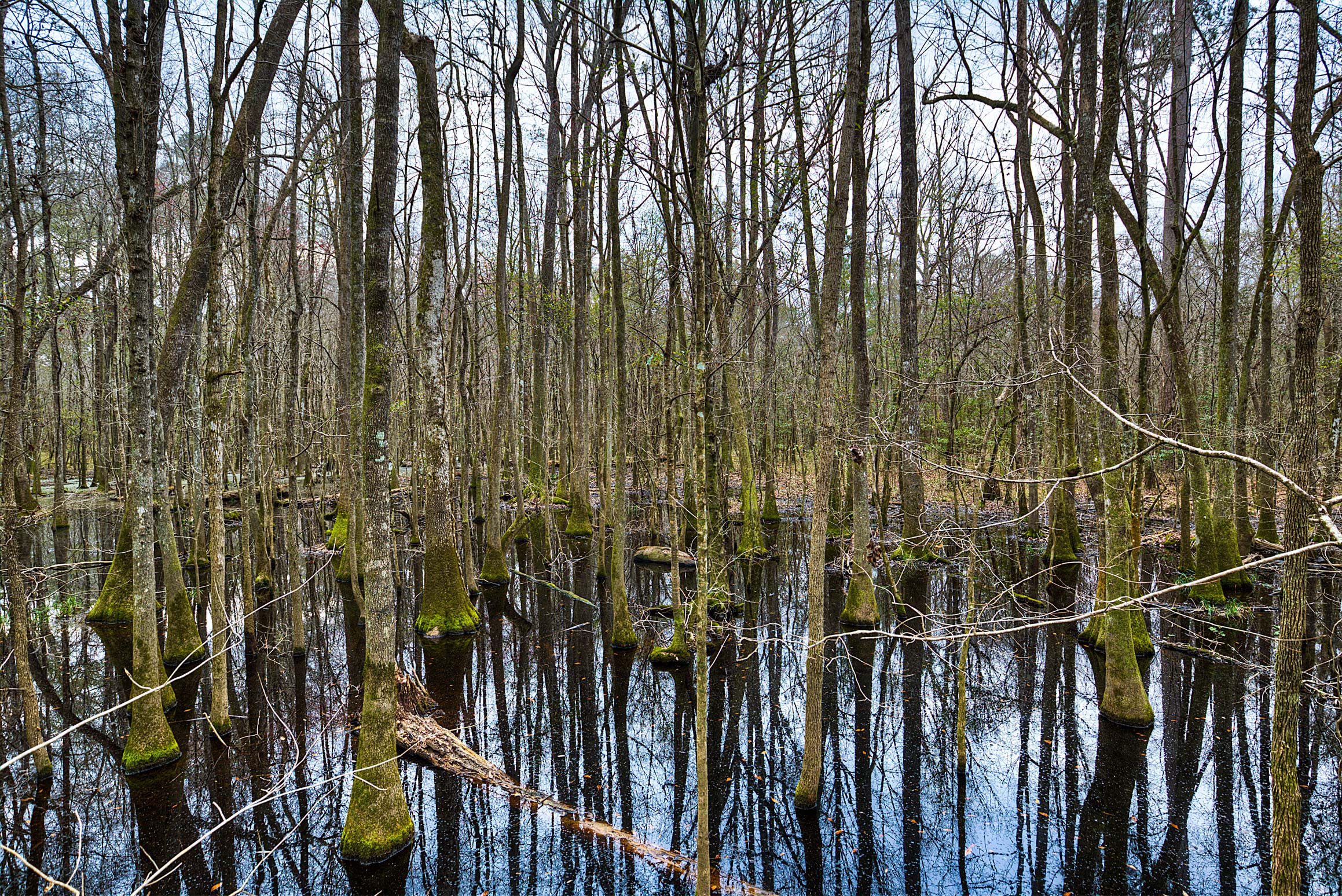 More Floodplain