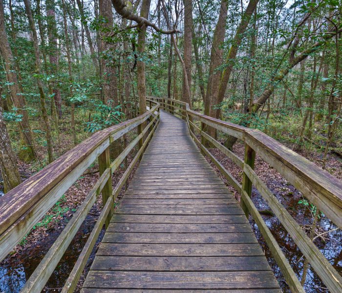 The Boardwalk