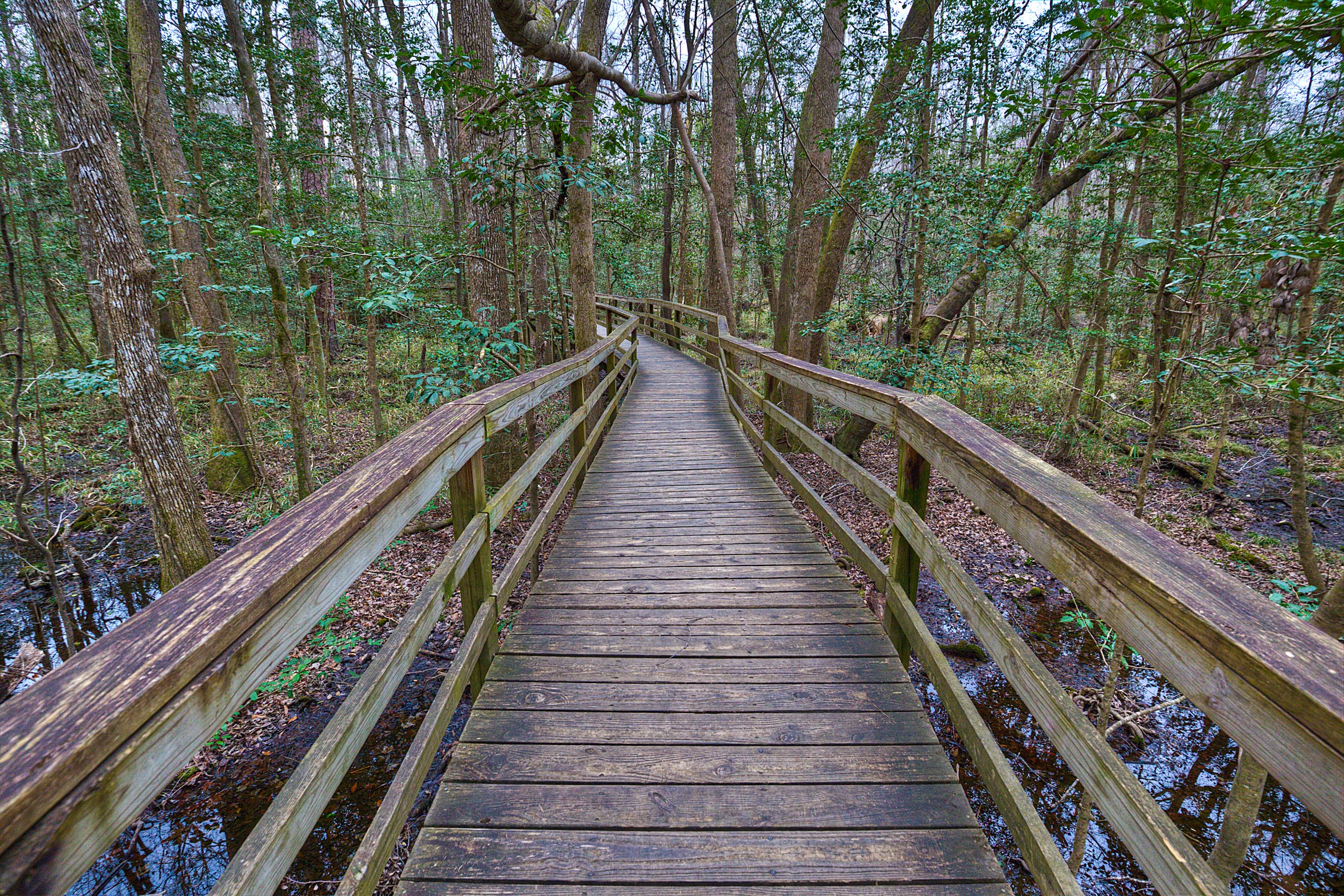 The Boardwalk