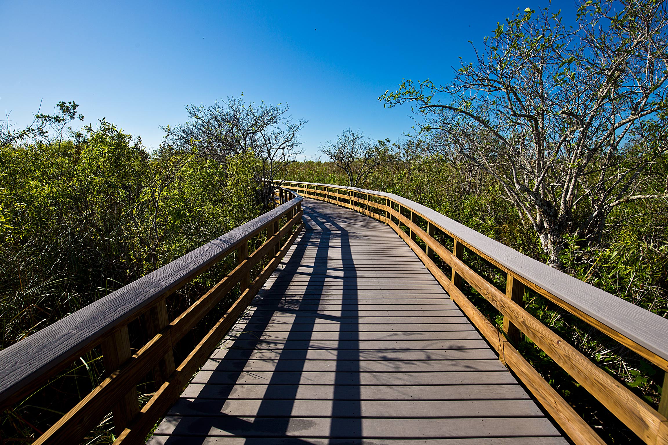 One of the many walkways in the Glades