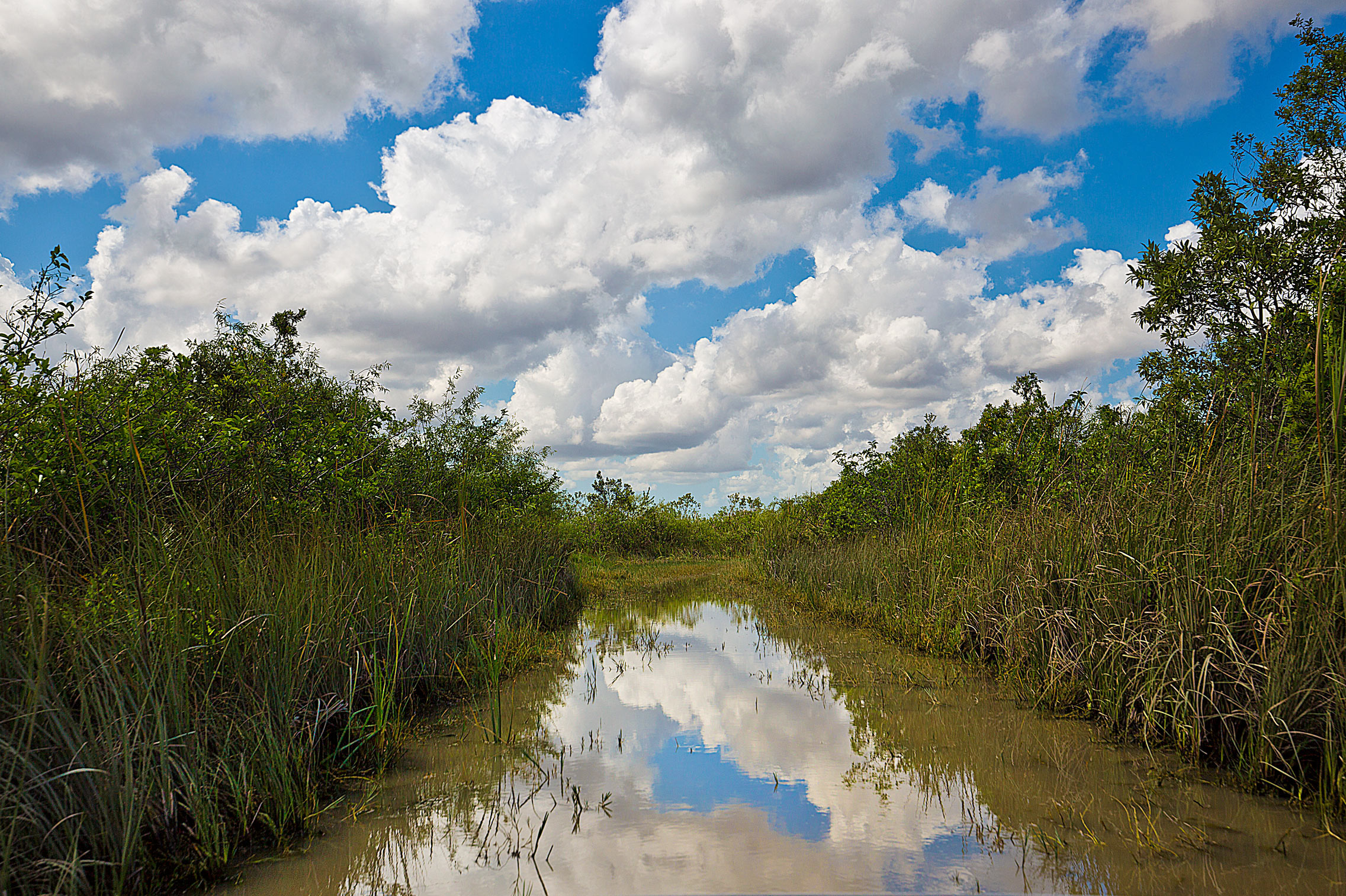 Cutting Through the Everglades