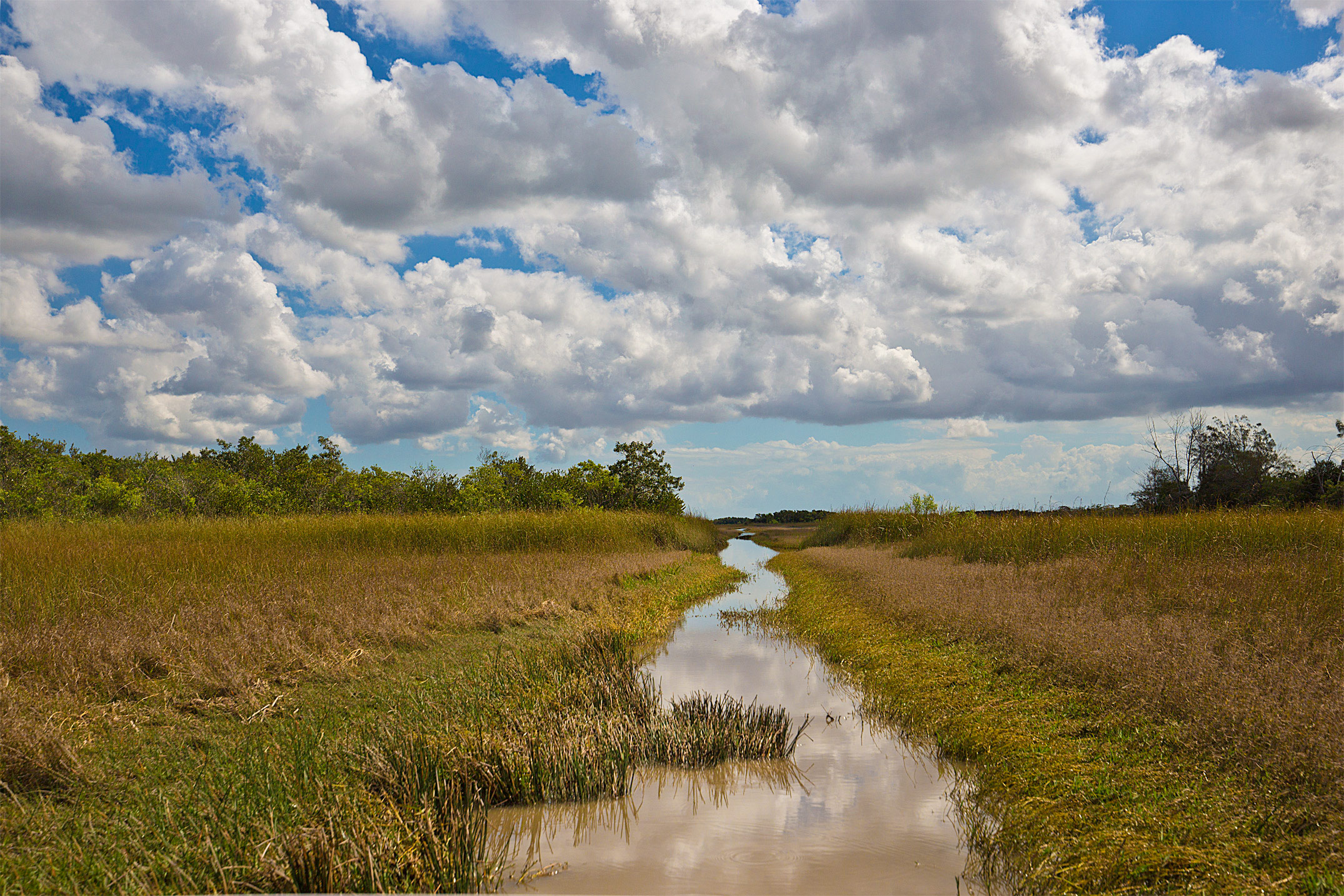 Ride through the Everglades