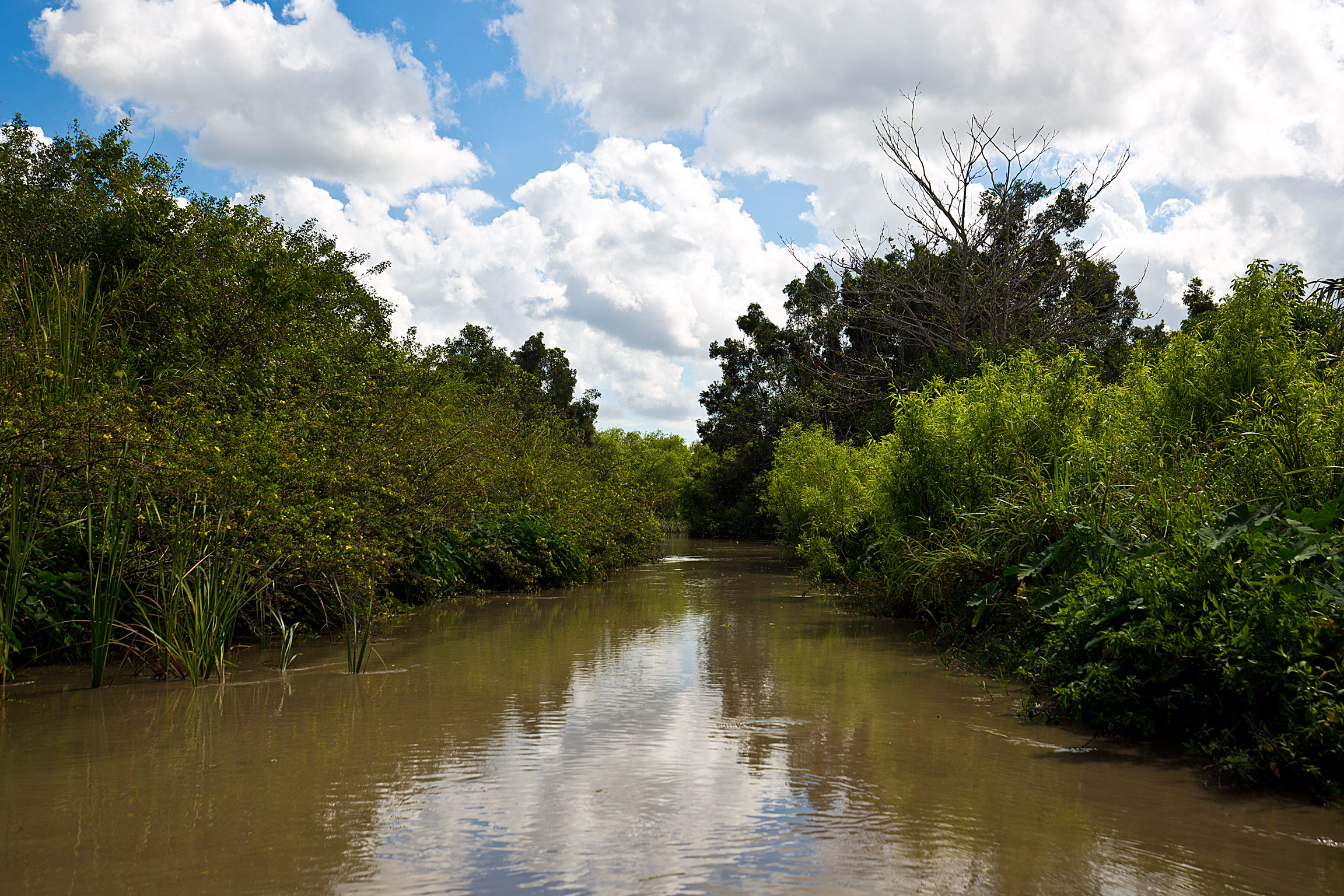 Everglades National Park