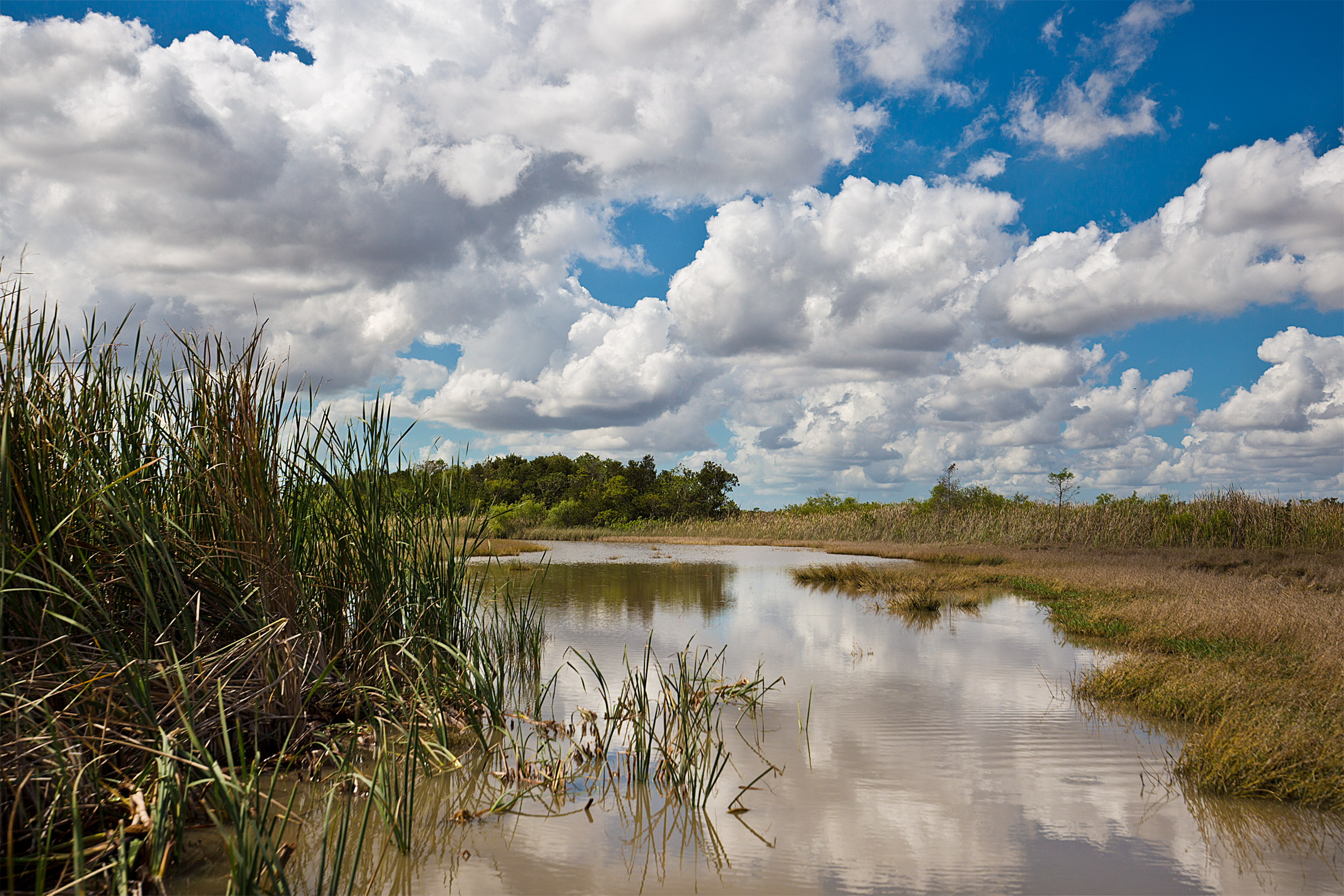 The Open Water