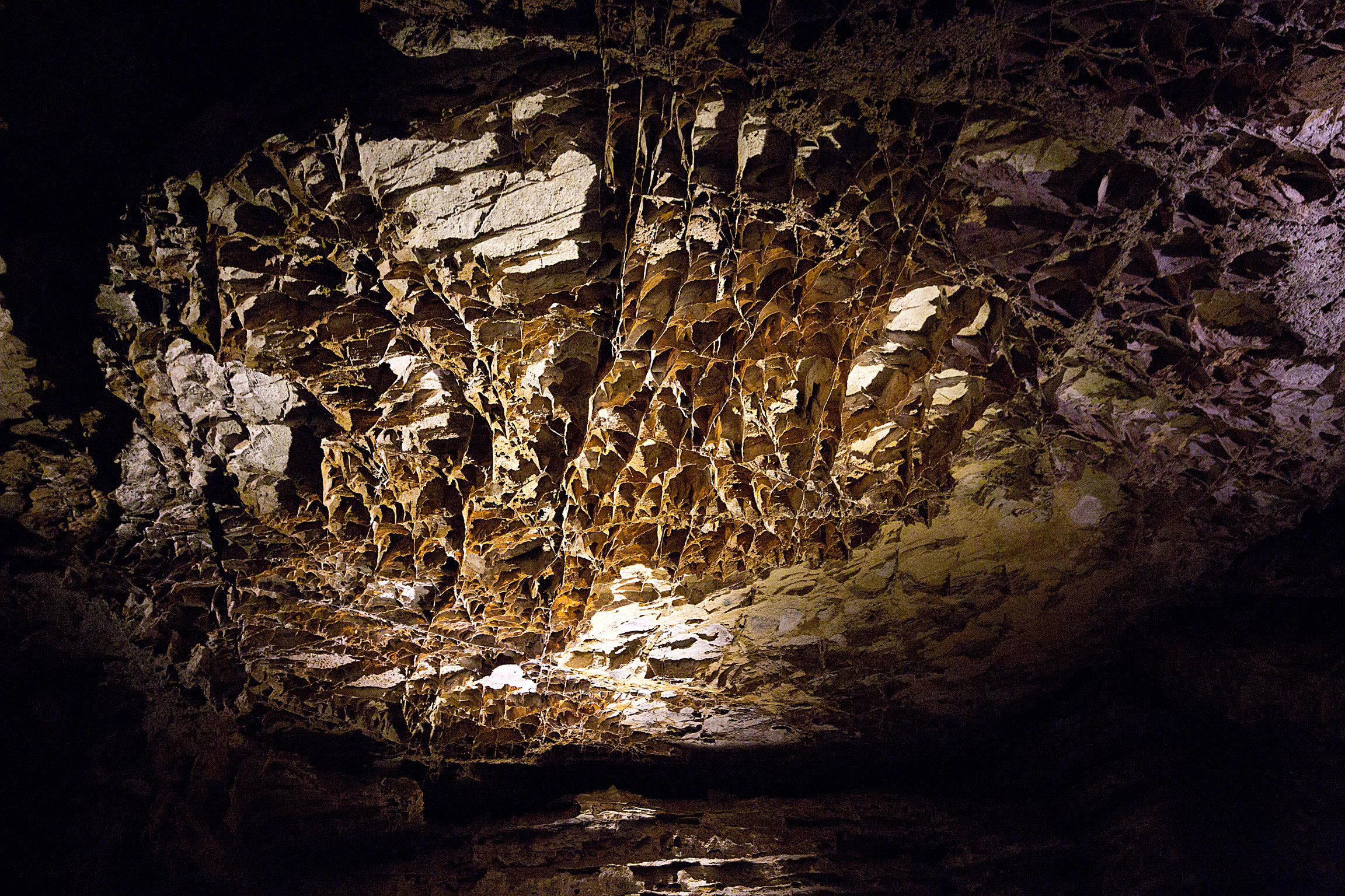 A Boxwork in Wind Cave