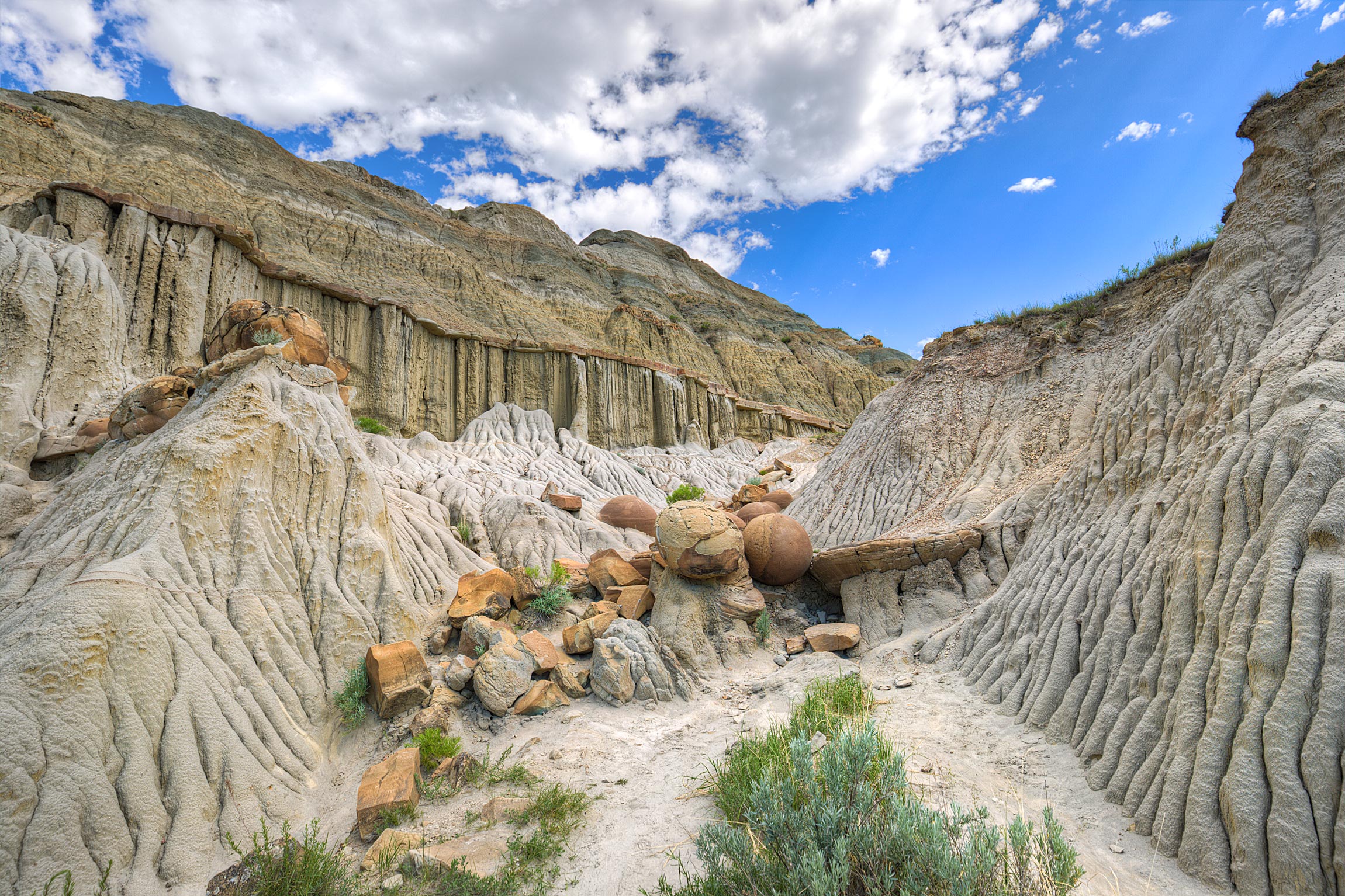 Cannonball Concretions