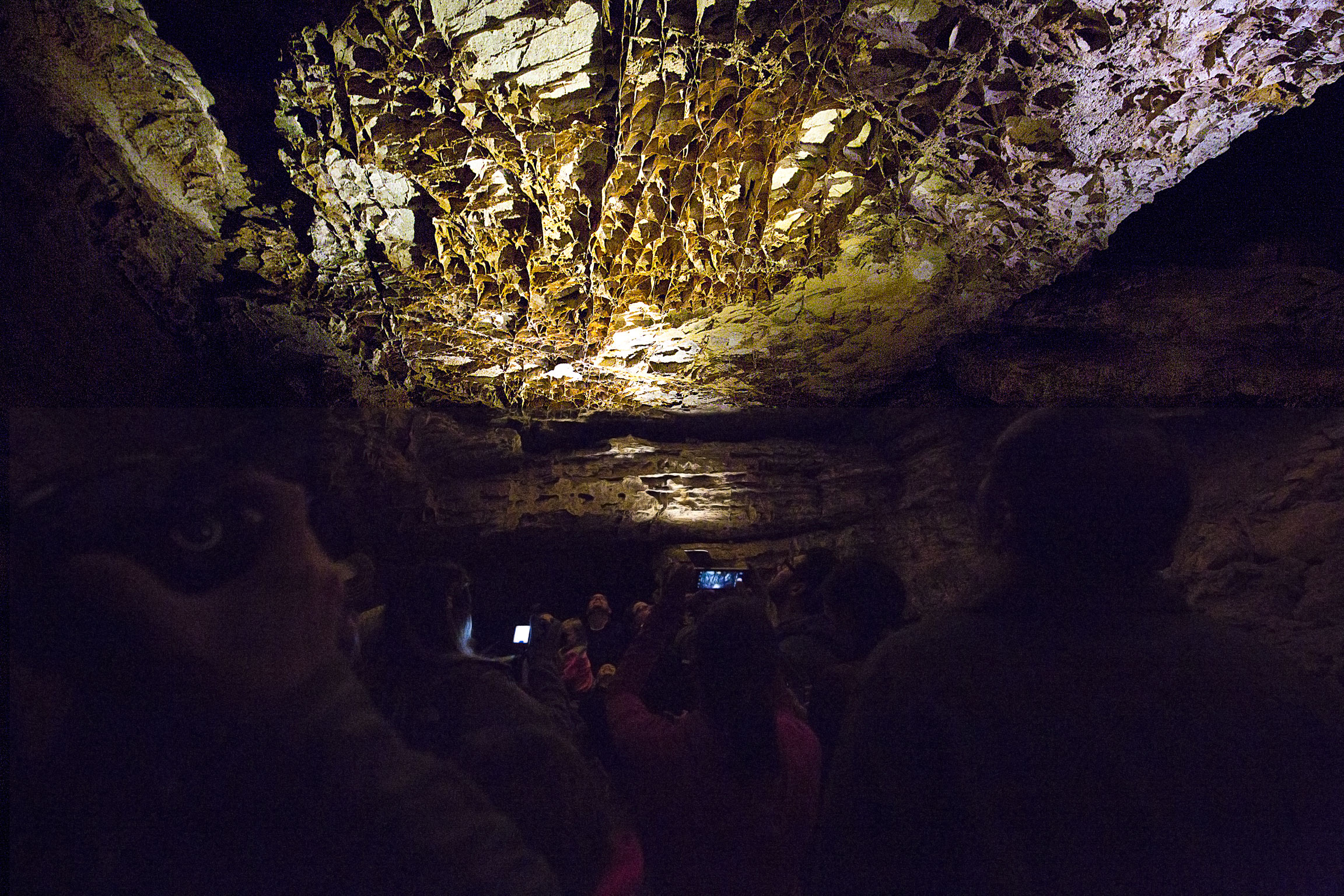 Looking at the Boxwork in Wind Cave