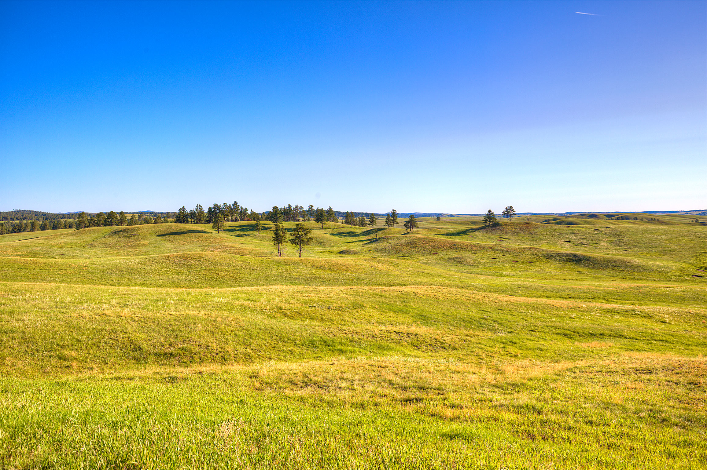 The Prairie Above Wind Cave