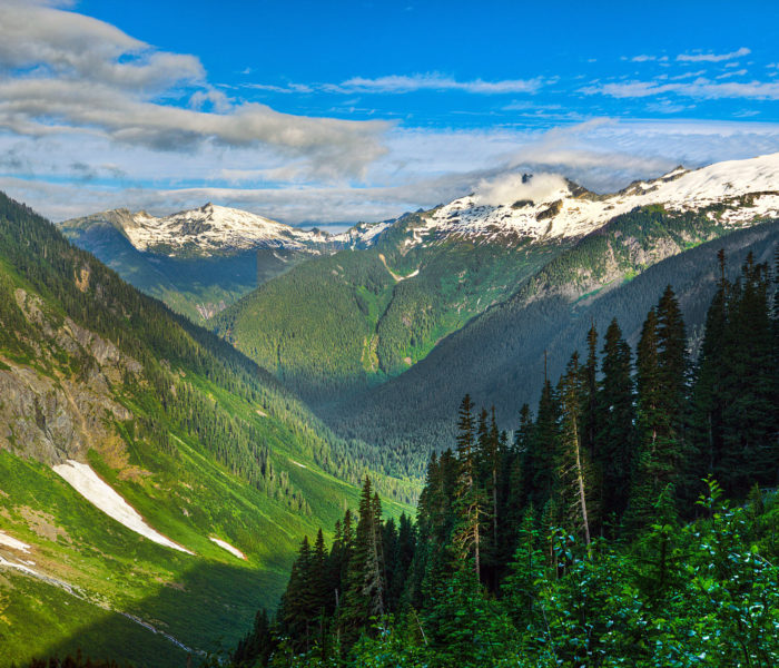 The North Cascades