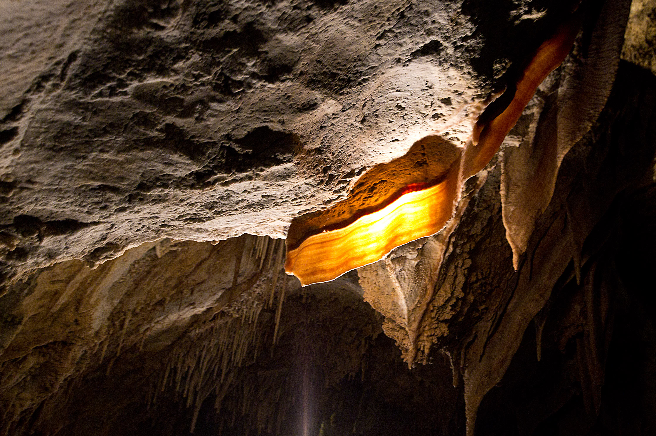 Cave Bacon Great Basin