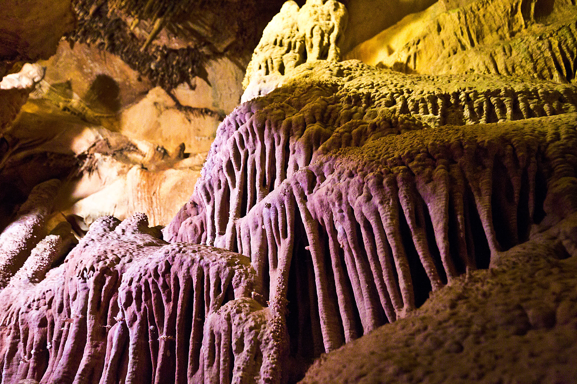 Lehman Caves Great Basin