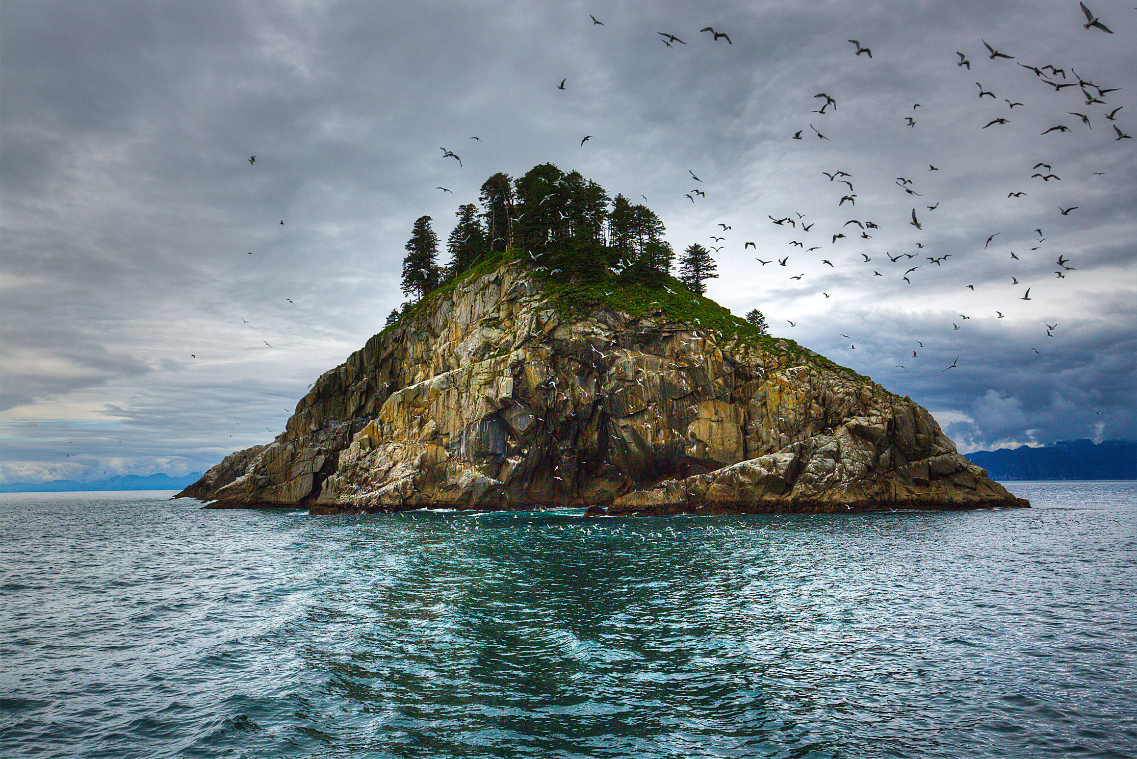 Bird Island