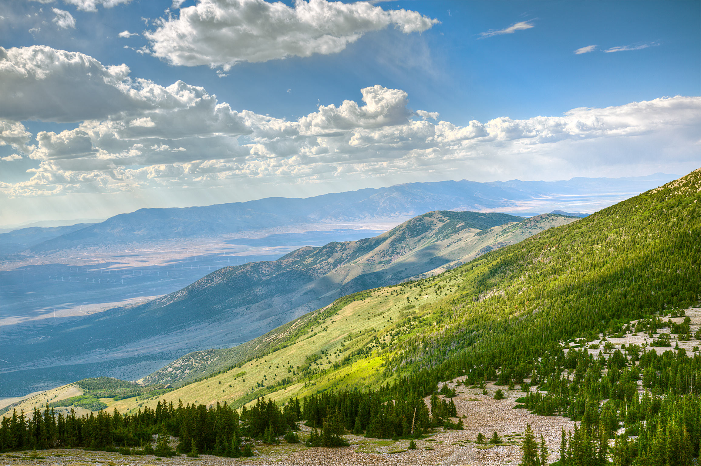 The View From Wheeler Peak, Great Basin