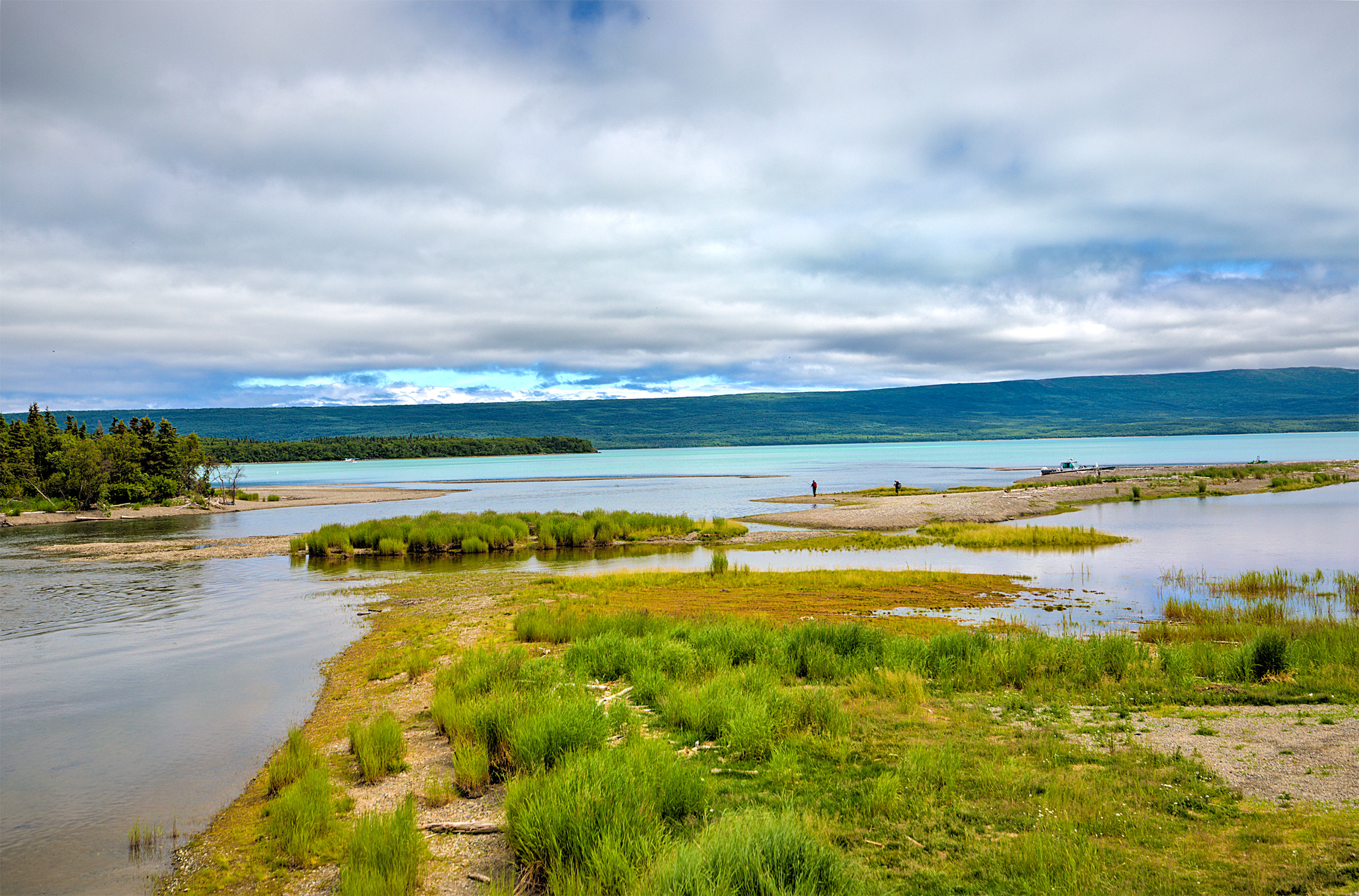 The Katmai Marsh
