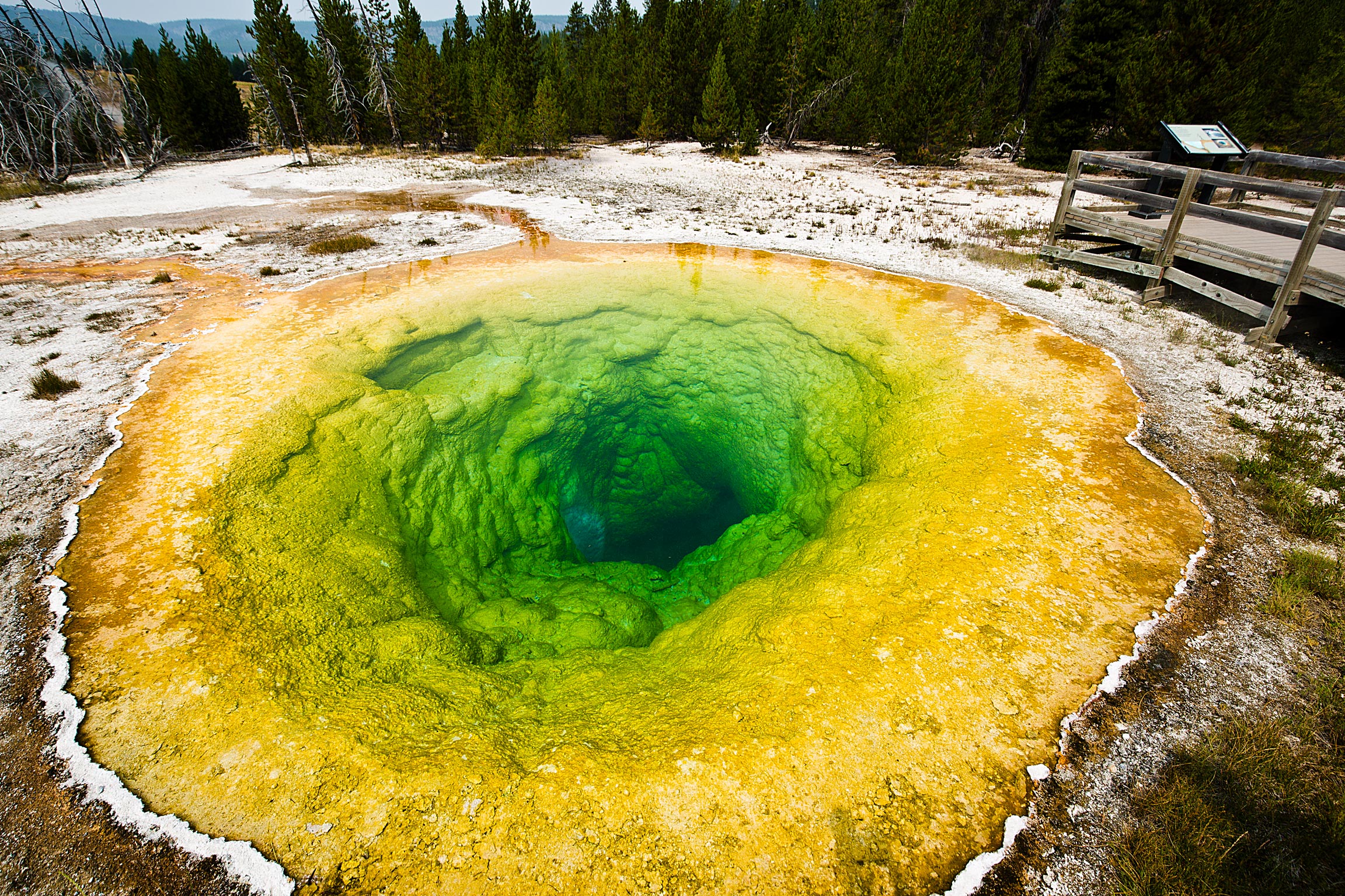 The "Morning Glory" Pool