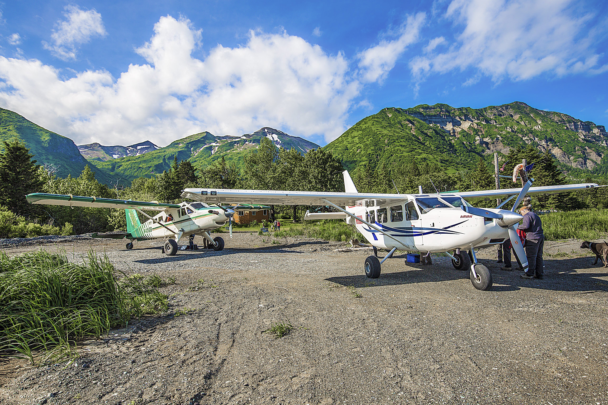 Bush Planes