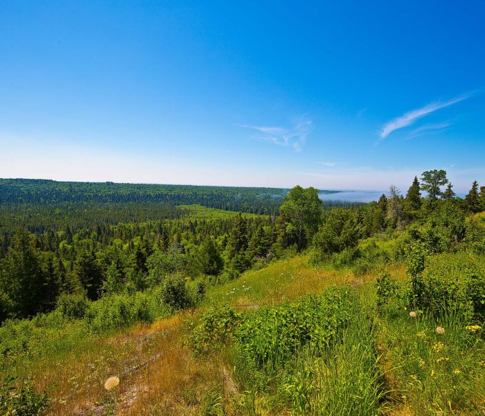 Overlooking Isle Royale