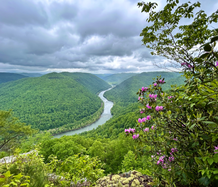 River in the valley