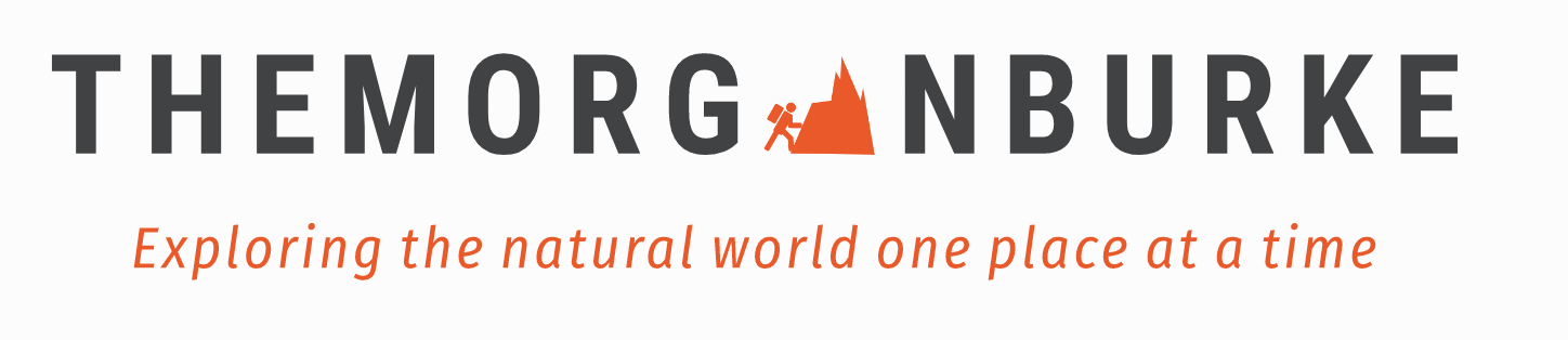 The name and logo of the site